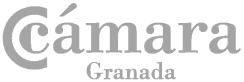 Camara Granada Logo