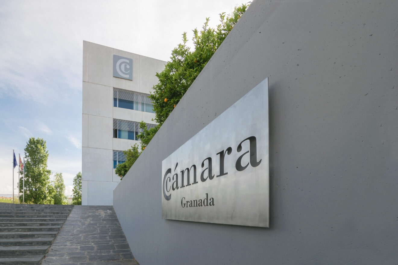 Ediae La Escuela De Las Empresas