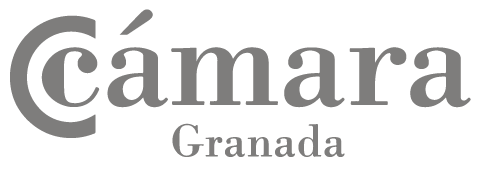 Logo Gris Cámara