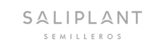 Semilleros Saliplant